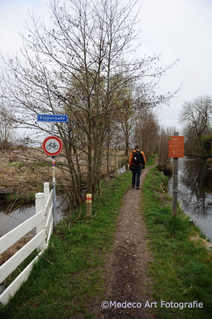 Vroege wandeling Reeuwijk