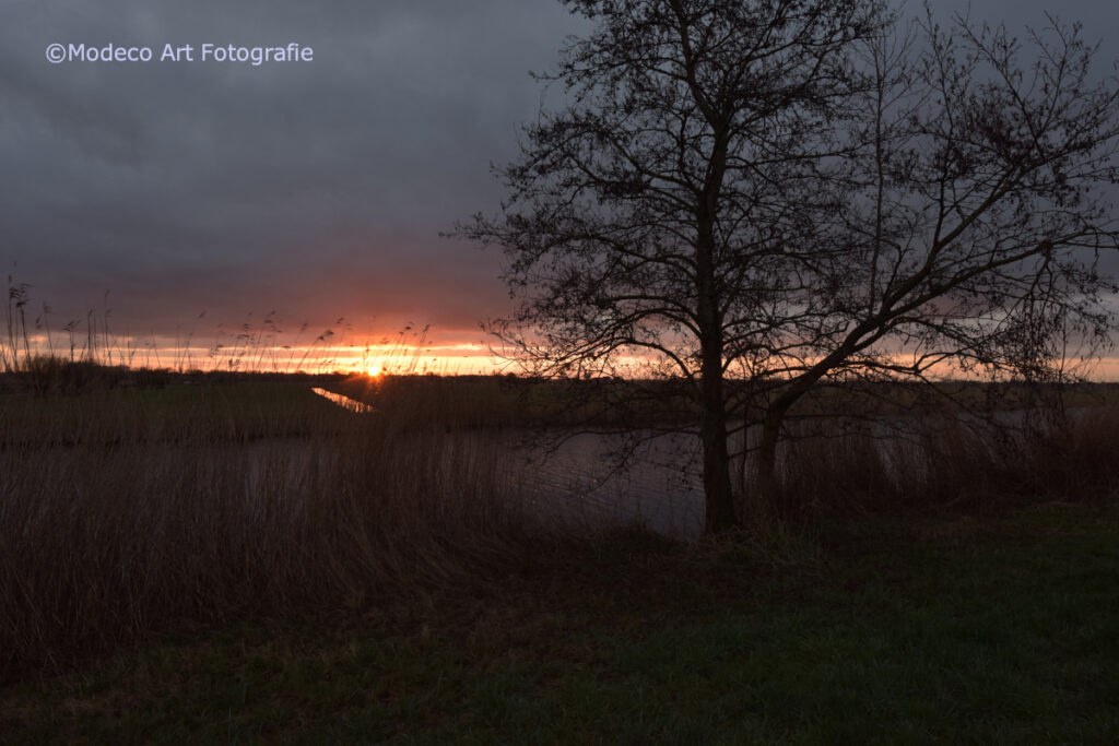 Vroege wandeling Reeuwijk