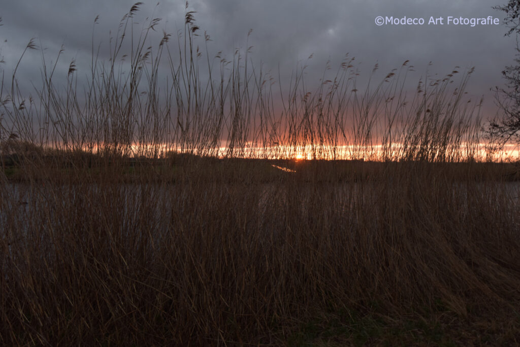Vroege wandeling Reeuwijk