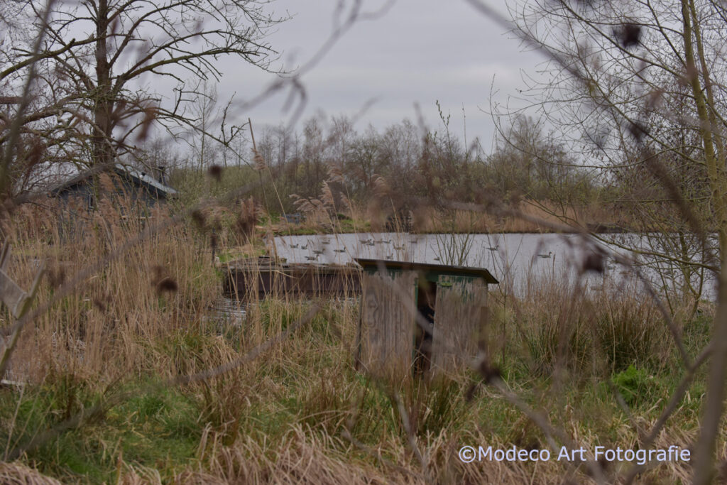 Vroege wandeling Reeuwijk